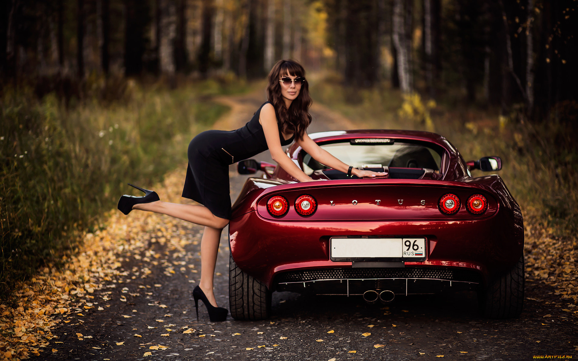 , -  , lotus